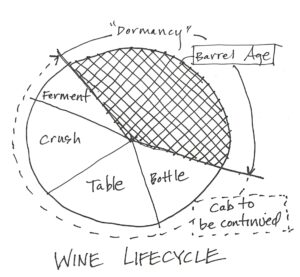 Wine Lifecycle